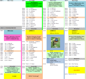 MiP2011 Daily schedule.png